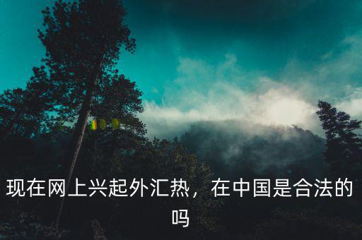 現(xiàn)在網(wǎng)上興起外匯熱，在中國(guó)是合法的嗎
