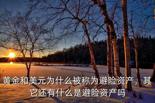 黃金和美元為什么被稱為避險(xiǎn)資產(chǎn)，其它還有什么是避險(xiǎn)資產(chǎn)嗎