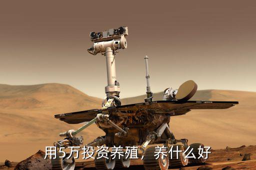 用5萬投資養(yǎng)殖，養(yǎng)什么好