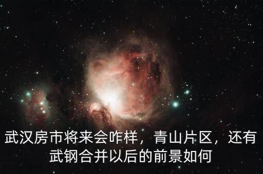 武漢房市將來會(huì)咋樣，青山片區(qū)，還有武鋼合并以后的前景如何