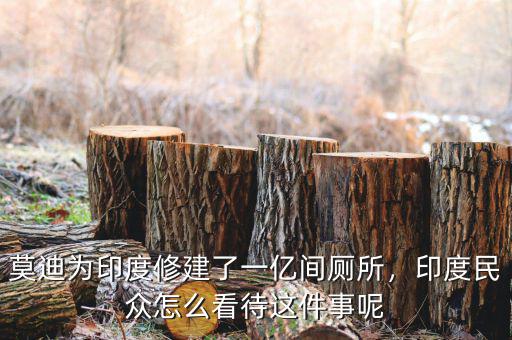 莫迪為印度修建了一億間廁所，印度民眾怎么看待這件事呢