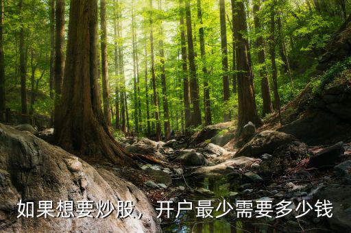 如果想要炒股，開戶最少需要多少錢