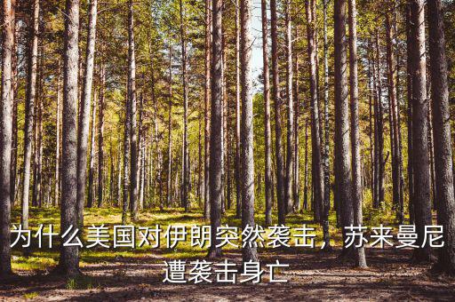 為什么美國對(duì)伊朗突然襲擊，蘇來曼尼遭襲擊身亡