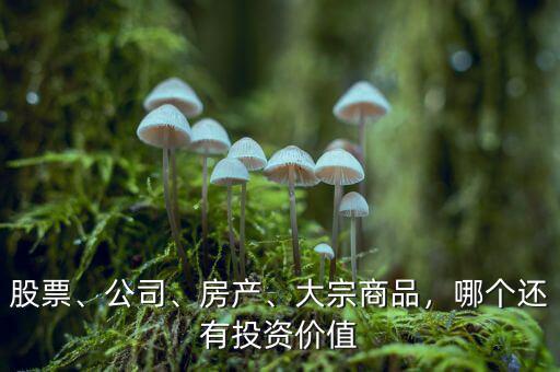 股票、公司、房產(chǎn)、大宗商品，哪個(gè)還有投資價(jià)值
