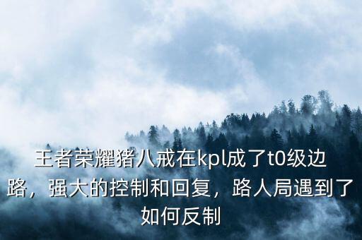 王者榮耀豬八戒在kpl成了t0級(jí)邊路，強(qiáng)大的控制和回復(fù)，路人局遇到了如何反制
