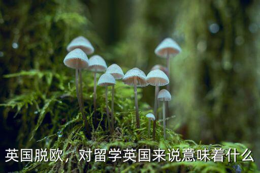 英國脫歐，對留學(xué)英國來說意味著什么