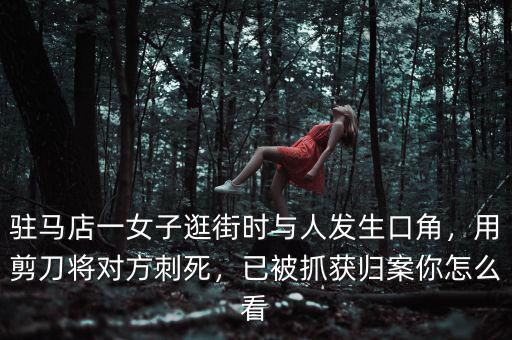 駐馬店一女子逛街時(shí)與人發(fā)生口角，用剪刀將對(duì)方刺死，已被抓獲歸案你怎么看