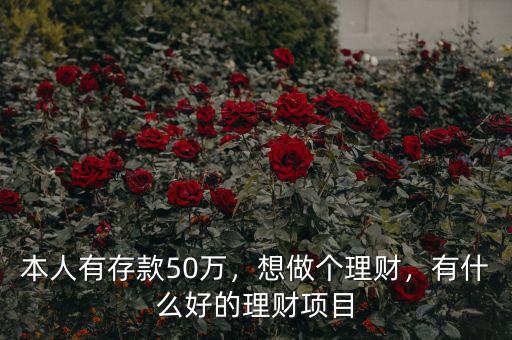 本人有存款50萬(wàn)，想做個(gè)理財(cái)，有什么好的理財(cái)項(xiàng)目