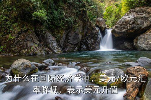 為什么在國際經(jīng)濟(jì)學(xué)中，美元/歐元匯率降低，表示美元升值