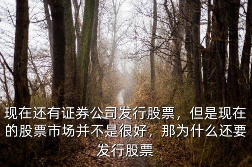 現(xiàn)在還有證券公司發(fā)行股票，但是現(xiàn)在的股票市場并不是很好，那為什么還要發(fā)行股票