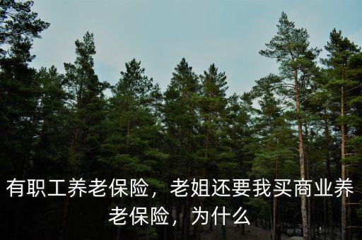 有職工養(yǎng)老保險(xiǎn)，老姐還要我買(mǎi)商業(yè)養(yǎng)老保險(xiǎn)，為什么