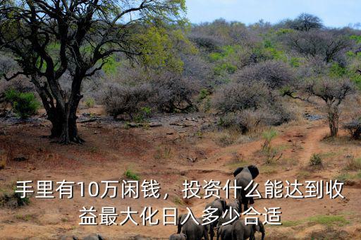 手里有10萬(wàn)閑錢(qián)，投資什么能達(dá)到收益最大化日入多少合適