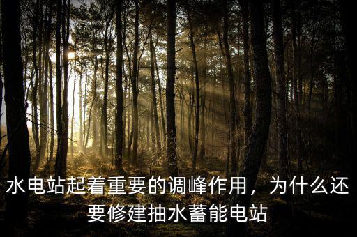 水電站起著重要的調(diào)峰作用，為什么還要修建抽水蓄能電站