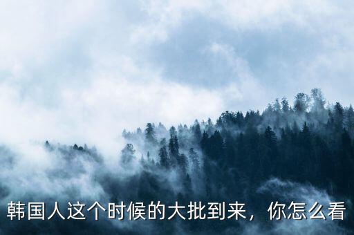 韓國人這個時候的大批到來，你怎么看