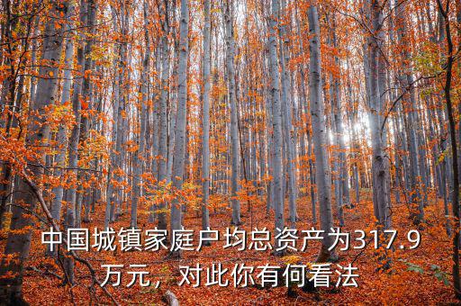 中國城鎮(zhèn)家庭戶均總資產(chǎn)為317.9萬元，對此你有何看法