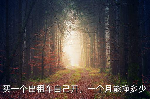 買一個(gè)出租車自己開，一個(gè)月能掙多少
