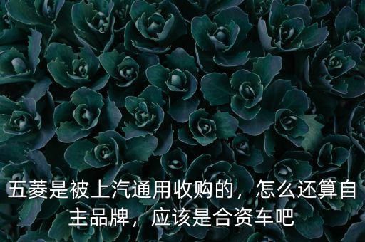 五菱是被上汽通用收購的，怎么還算自主品牌，應(yīng)該是合資車吧