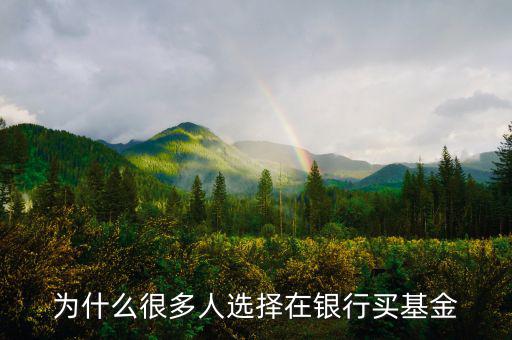 銀行為什么要代銷(xiāo)基金,基金公司直接購(gòu)買(mǎi)基金