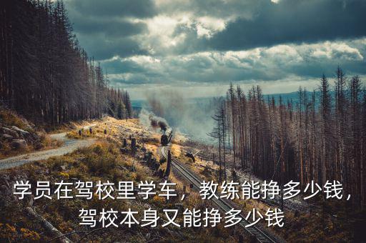 學(xué)員在駕校里學(xué)車，教練能掙多少錢，駕校本身又能掙多少錢