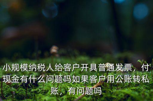 小規(guī)模納稅人給客戶(hù)開(kāi)具普通發(fā)票，付現(xiàn)金有什么問(wèn)題嗎如果客戶(hù)用公賬轉(zhuǎn)私賬，有問(wèn)題嗎