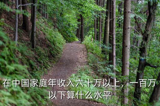 在中國(guó)家庭年收入六十萬(wàn)以上，一百萬(wàn)以下算什么水平