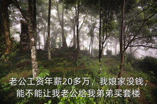 老公工資年薪20多萬，我娘家沒錢，能不能讓我老公給我弟弟買套樓