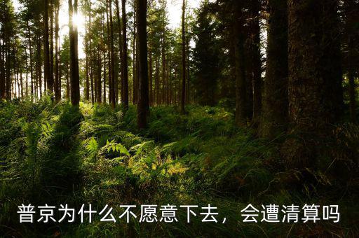 普京為什么不愿意下去，會遭清算嗎