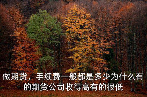 做期貨，手續(xù)費一般都是多少為什么有的期貨公司收得高有的很低