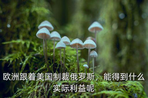 歐洲跟著美國制裁俄羅斯，能得到什么實際利益呢