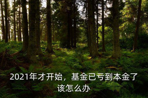 2021年才開(kāi)始，基金已虧到本金了該怎么辦