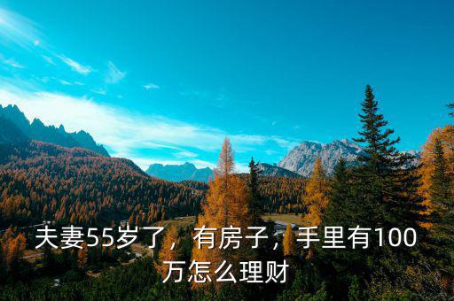 夫妻55歲了，有房子，手里有100萬(wàn)怎么理財(cái)