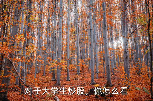 對于大學生炒股，你怎么看