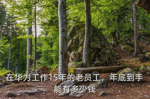 在華為工作15年的老員工，年底到手能有多少錢