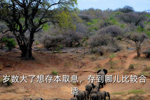 歲數(shù)大了想存本取息，存到哪兒比較合適