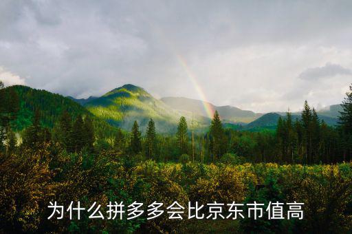 為什么拼多多會(huì)比京東市值高