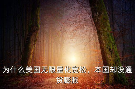 為什么美國(guó)無(wú)限量化寬松，本國(guó)卻沒(méi)通貨膨脹