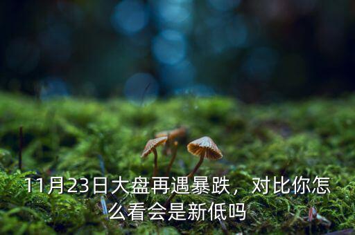 11月23日大盤再遇暴跌，對(duì)比你怎么看會(huì)是新低嗎