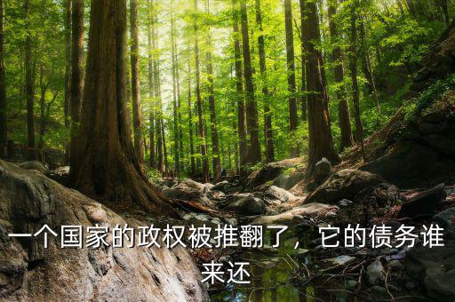 一個(gè)國(guó)家的政權(quán)被推翻了，它的債務(wù)誰(shuí)來(lái)還
