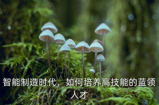 智能制造時(shí)代，如何培養(yǎng)高技能的藍(lán)領(lǐng)人才