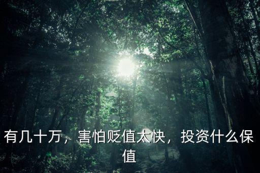 有幾十萬，害怕貶值太快，投資什么保值