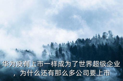 華為沒有上市一樣成為了世界超級企業(yè)，為什么還有那么多公司要上市