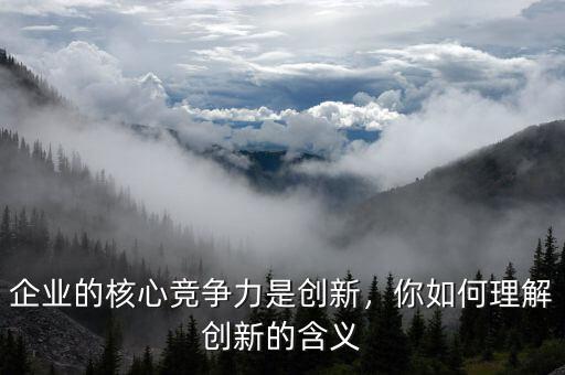 企業(yè)的核心競(jìng)爭(zhēng)力是創(chuàng)新，你如何理解創(chuàng)新的含義