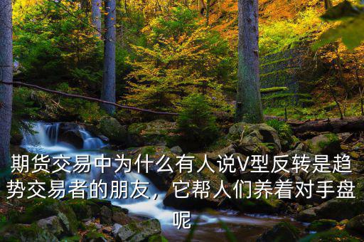 期貨交易中為什么有人說V型反轉(zhuǎn)是趨勢(shì)交易者的朋友，它幫人們養(yǎng)著對(duì)手盤呢