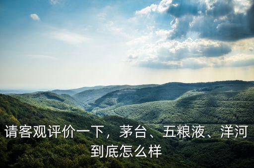 請客觀評價一下，茅臺、五糧液、洋河到底怎么樣