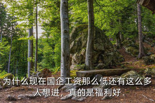 為什么現(xiàn)在國企工資那么低還有這么多人想進，真的是福利好