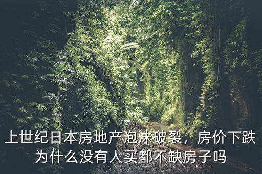 上世紀(jì)日本房地產(chǎn)泡沫破裂，房?jī)r(jià)下跌為什么沒(méi)有人買都不缺房子嗎