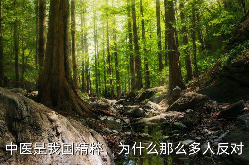 中醫(yī)是我國(guó)精粹，為什么那么多人反對(duì)