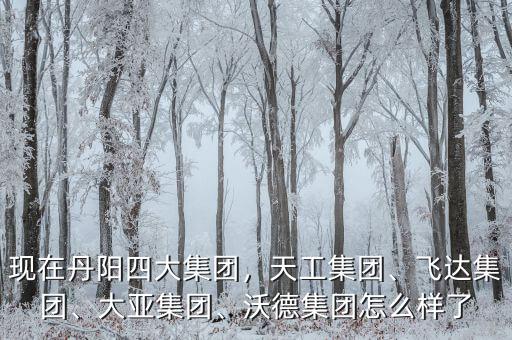 現(xiàn)在丹陽(yáng)四大集團(tuán)，天工集團(tuán)、飛達(dá)集團(tuán)、大亞集團(tuán)、沃德集團(tuán)怎么樣了
