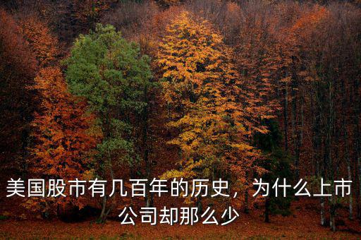 美國(guó)股市多少年歷史,有專家說(shuō)美國(guó)股市在歷史高位