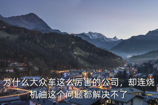為什么大眾車這么厲害的公司，卻連燒機(jī)油這個問題都解決不了